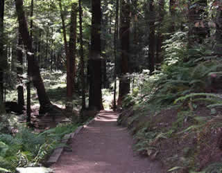 trail at pacific resort